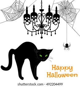 Spider webs, black cat and bats isolated on white