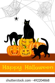 Spider webs, black cat and bats isolated on white