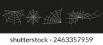 spider webs isolated on blackground. cob web element for halloween design