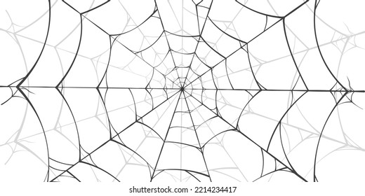 spider webs lineout Background white and black can be used according to your needs