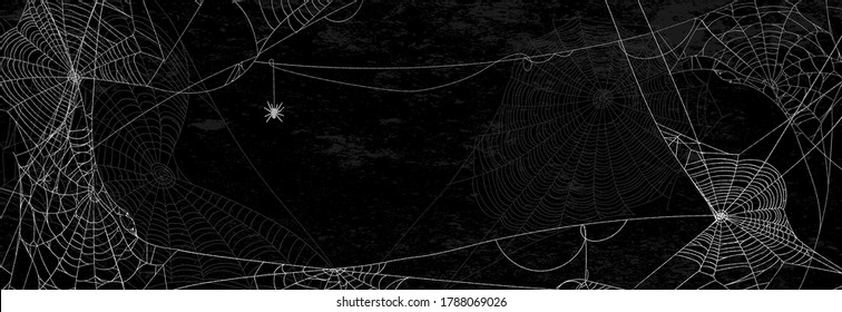 Las telarañas en la pared negra - pancarta de halloween con araña sobre fondo oscuro.