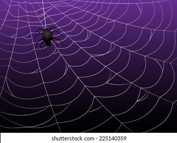 Spider Webs on Purple Background