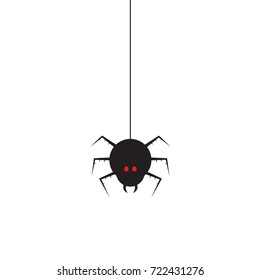 spider with white background