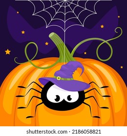 A spider in a witch's hat descends from spider web on an orange pumpkin. Halloween concept. Vector illustration on a white background.