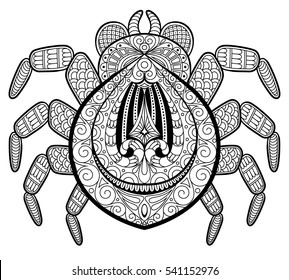 Spider in zentangle style for tattoo. Print or t-shirt. Adult antistress coloring page. Black and white hand drawn doodle for coloring book 