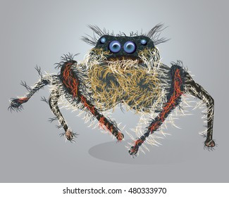 Spider.Funny hairy  spider . Vector Halloween spider. Cute cartoon spider .