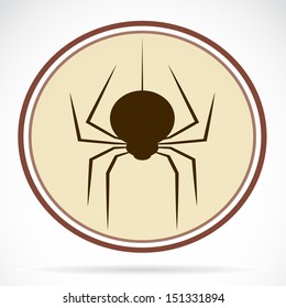 Spiders