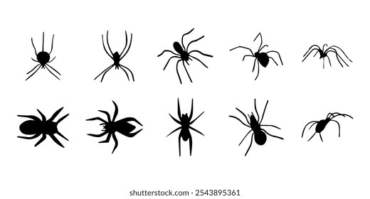 Aranhas. Silhueta de aranha de inseto preto. Assustador animal de Halloween aracnídeo, inseto perigoso assustador, medo de aracnofobia. Ilustração vetorial