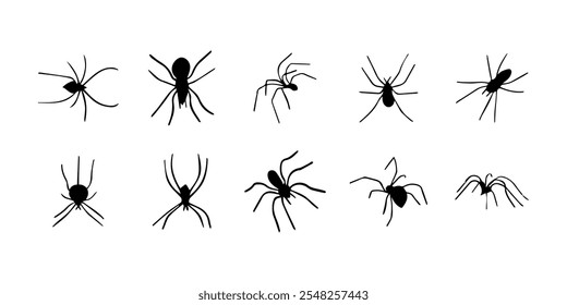 Aranhas. Silhueta de aranha de inseto preto. Assustador animal de Halloween aracnídeo, inseto perigoso assustador, medo de aracnofobia. Ilustração vetorial