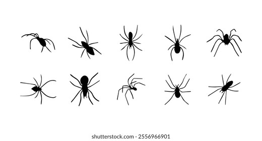 Spiders. Black bug spider silhouette. Scary Halloween animal arachnid, creepy dangerous insect, arachnophobia fear. Vector illustration