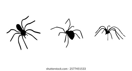 Spiders. Black bug spider silhouette. Scary Halloween animal arachnid, creepy dangerous insect, arachnophobia fear. Vector illustration