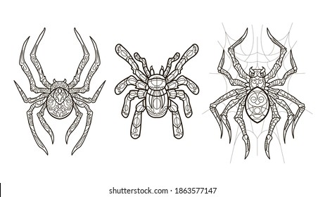 spiders black outline illustration coloring book page Set.  Vector hand draw clipart for art therapy, tattoo, for design element, poster.