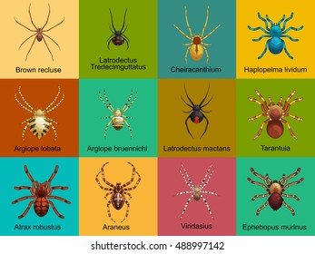 Spiders cartoon set, dangerous insects collection