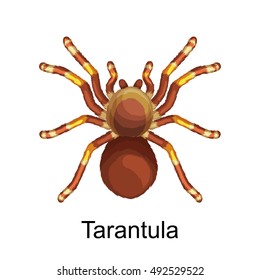 Spiders cartoon set, dangerous insects collection