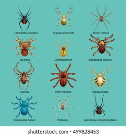 Spiders cartoon set, dangerous insects collection