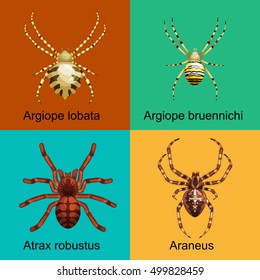 Spiders cartoon set, dangerous insects collection