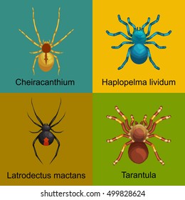 Spiders cartoon set, dangerous insects collection
