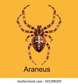 Spiders cartoon set, dangerous insects collection