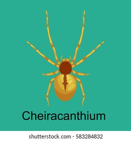Spiders cartoon set, dangerous insects collection