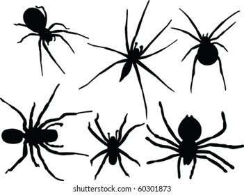 Spiders Collection Vector Stock Vector (Royalty Free) 60301873 ...