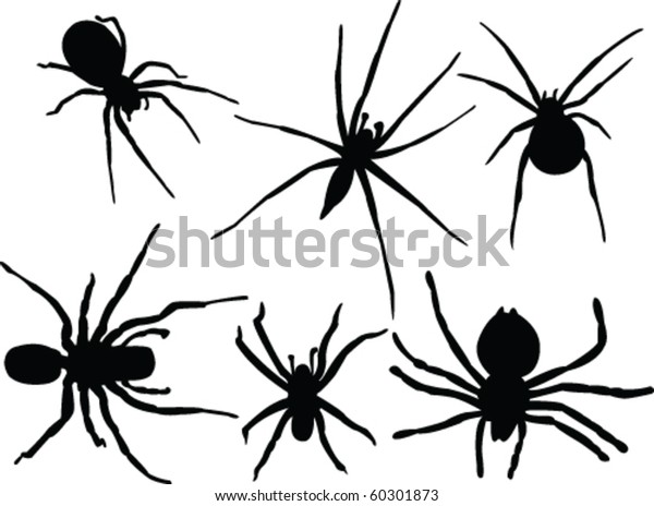 Spiders Collection Vector Stock Vector (Royalty Free) 60301873 ...