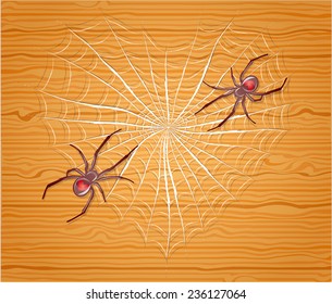 Spiders with heart. 