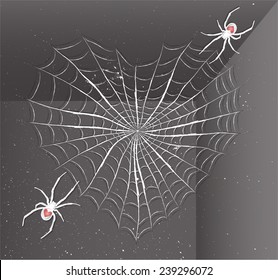 Spiders with heart.