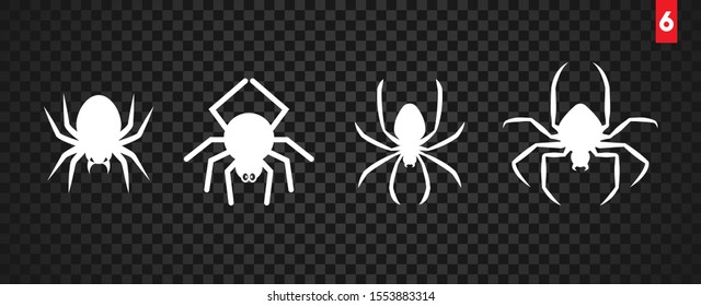 Spiders isolated on dark background