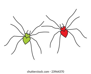 spiders in love