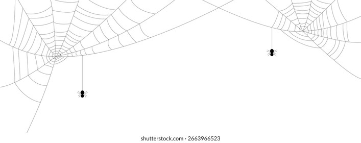 Spiders net,web in the conors.Black on white.Heloween design element.