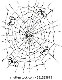 Spiders on the web