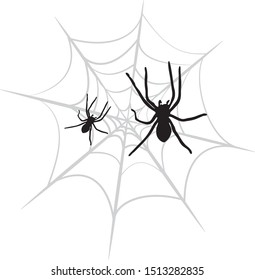 spiders on web black and white