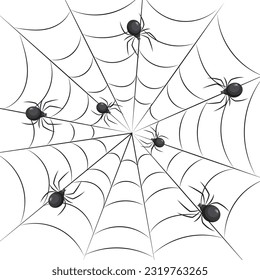 Spiders on the web. Insects. Illustration, background, vector