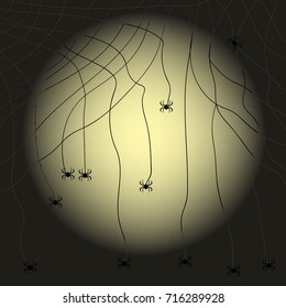 spiders on a web pattern on light. vector illustration