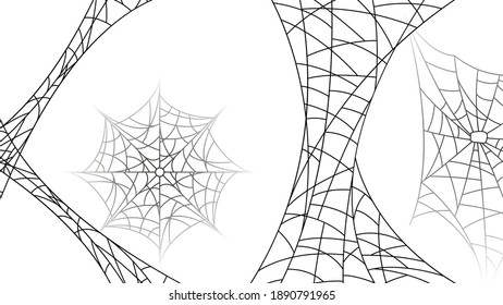 Spiders on Web with white Background. Halloween Background Design Element. Spooky, Scary Horror Decoration Vector