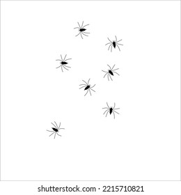 Spiders on a white background