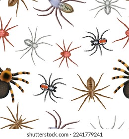 Spiders pattern. Realistic toxic spiders collection decent vector seamless background template