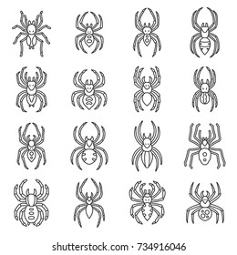 Spiders set of icons. Isolated vector Illustration in linear design. Line with editable stroke