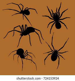 Spiders silhouette