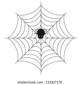 Spiders and spider web on a white background for your design.