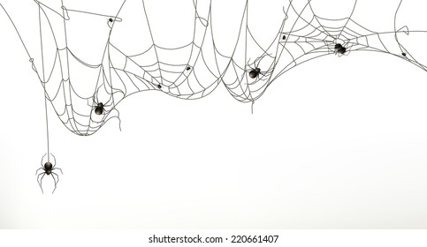 Spiders And Spider Web, Vector Set