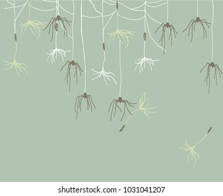 Spiders that look like dandelion seeds. Masking spiders.