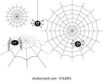 Spiders and their webs