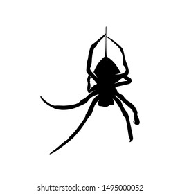 Spiders Vector Design Logo. Spiders Illustration With Various Shapes and Different movements