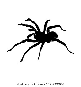 Spiders Vector Design Logo. Spiders Illustration With Various Shapes and Different movements