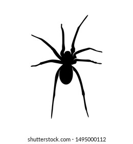 Spiders Vector Design Logo. Spiders Illustration With Various Shapes and Different movements