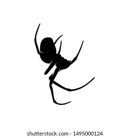 Spiders Vector Design Logo. Spiders Illustration With Various Shapes and Different movements