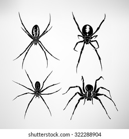 Spiders. Vector illustration