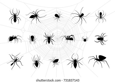 spiders vector set white