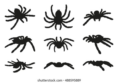 18,045 Spider outline image Stock Illustrations, Images & Vectors ...